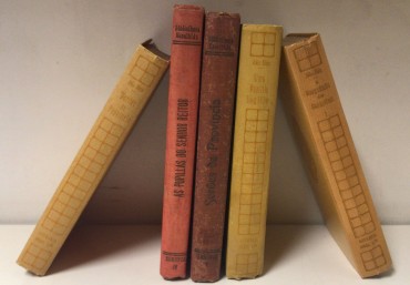 «Lote 5 Livros Júlio Dinis»