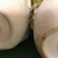 Saleiro e pimenteiro SECLA