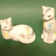 Casal de gatos SECLA