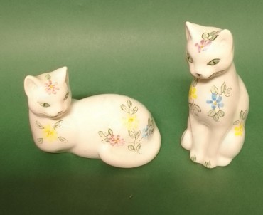 Casal de gatos SECLA