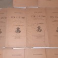 16 (Dezasseis) Publicações semanais de “Os Gatos