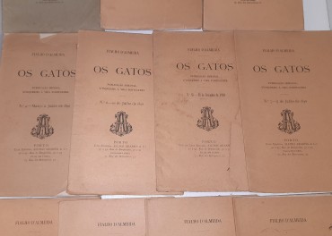 16 (Dezasseis) Publicações semanais de “Os Gatos