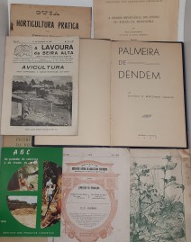 015-2.jpg