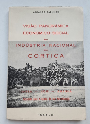 VISÃO PANORÂMICA ECONOMICO-SOCIAL DA INDÚSTRIA NACIONAL DA CORTIÇA