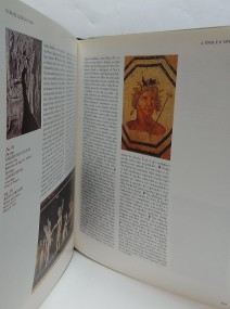14a.jpg