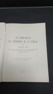 11a.jpg