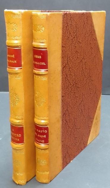 «Literatura - 2 volumes»