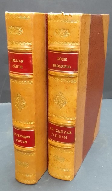 «Literatura - 2 volumes»