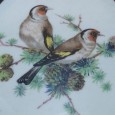 «Pássaros» em porcelana