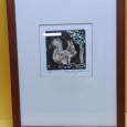 Serigrafia «esquilo»