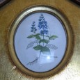 Pintura em porcelana