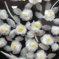 Composição floral