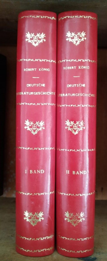 DEUTCHE LITERATURGELFCHICHTE - 2 VOLUMES