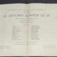 «As Árvores morrem de pé»