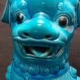 Cão de foo