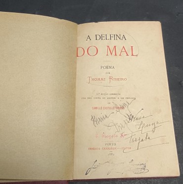 «A Delfina do Mal»