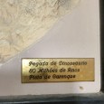 Pata de dinossauro 