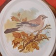 Duas placas porcelana