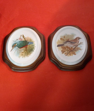 Duas placas porcelana