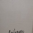 RUI LOBATO - técnica mista