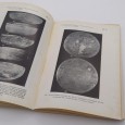 TRABALHOS DE ANTROPOLOGIA E ETNOLOGIA