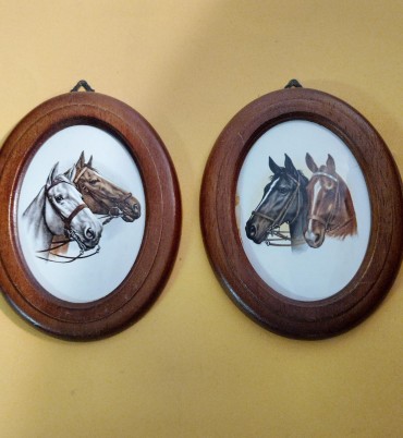 Duas placas cavalos