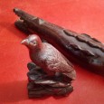 Crocodilo e pássaro