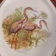 Duas placas «flamingos e cisnes»