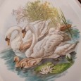 Duas placas «flamingos e cisnes»