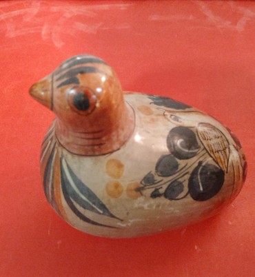 Cotovia mexicana