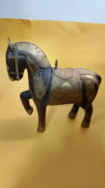 166.jpg