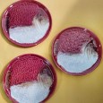 Três pratos «Peixe» SECLA