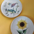 Dois pratos decorados