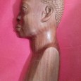 Busto masculino