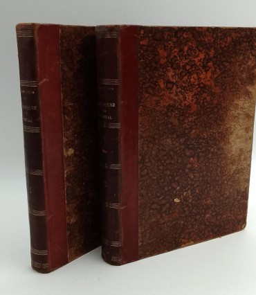 «O Marquez de Pombal. Romance Historico-2 volumes»