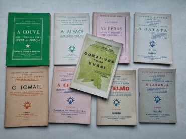 COLECÇÃO 