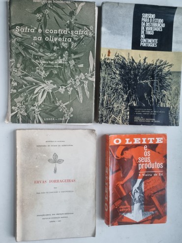 AGRICULTURA e PECUÁRIA