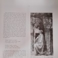 «Giotto»