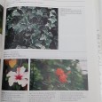 «Flora da estufa Fria de Lisboa»