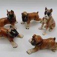 «Cães de porcelana Boxer»