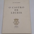 O CASTRO DE LECEIA