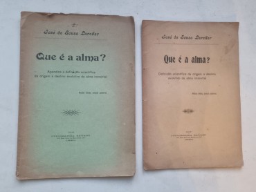 QUE É A ALMA