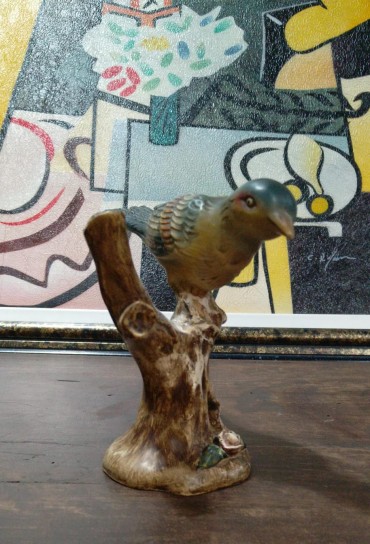 Pássaro