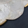 Cinco bases para pratos