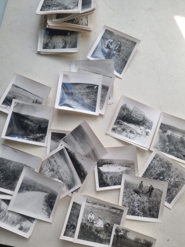 JUNTA DE COLONIZAÇÃO INTERNA