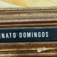 RENATO DOMINGOS - Menino no jardim