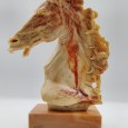 Escultura «Cabeça de cavalo»