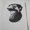 «Album de Caras. Caricaturas António»