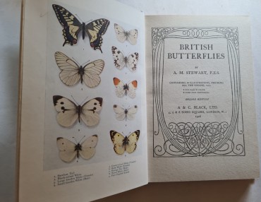 BRITISH BAUTTERFLIES