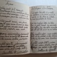 CADERNO MANUSCRITOS